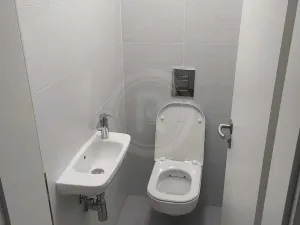 Pronájem bytu 2+kk, České Budějovice, Platanová, 62 m2