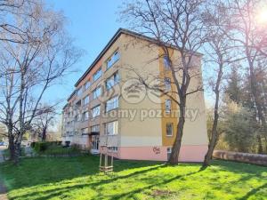 Prodej bytu 4+kk, Praha - Malešice, Niederleho, 96 m2