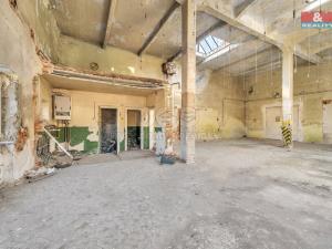 Prodej obchodního prostoru, Červená Voda, 1500 m2