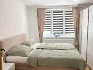 Prodej bytu 2+1, Teplice, Cajthamlova, 56 m2