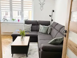 Prodej bytu 2+1, Teplice, Cajthamlova, 56 m2