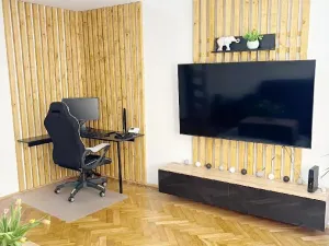Prodej bytu 2+1, Teplice, Cajthamlova, 56 m2