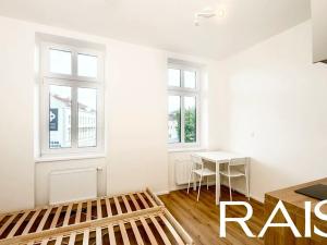 Pronájem bytu 1+kk, Brno, Vranovská, 19 m2