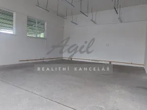 Pronájem skladu, Holubice, 320 m2