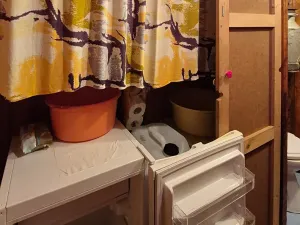 Prodej chaty, Borušov, 35 m2
