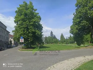 Prodej bytu 1+kk, Milovice, Slepá, 25 m2