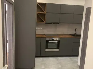 Pronájem bytu 2+1, Praha - Nusle, U družstva Život, 60 m2