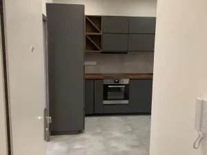 Pronájem bytu 2+1, Praha - Nusle, U družstva Život, 60 m2