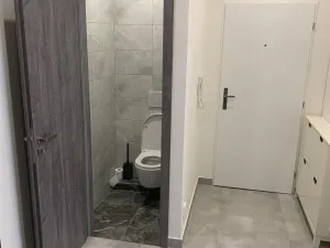 Pronájem bytu 2+1, Praha - Nusle, U družstva Život, 60 m2