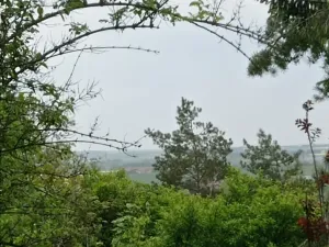 Pronájem chaty, Brandýsek, 25 m2