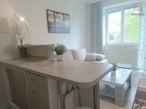 Pronájem bytu 1+kk, Brno, Srbská, 25 m2
