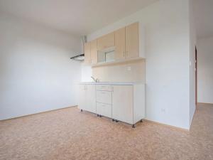 Prodej rodinného domu, Černožice, Přelovská, 225 m2