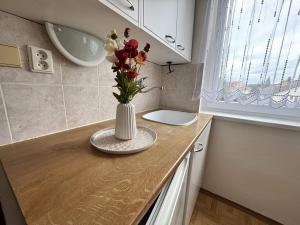 Pronájem bytu 1+kk, Kuřim, Wolkerova, 21 m2