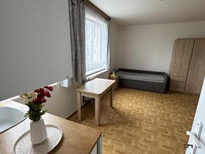 Pronájem bytu 1+kk, Kuřim, Wolkerova, 21 m2