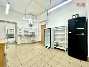 Pronájem výrobních prostor, Teplice, Duchcovská, 75 m2