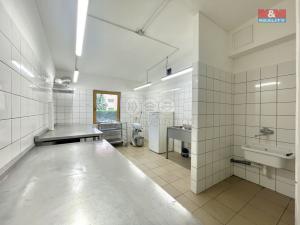 Pronájem výrobních prostor, Teplice, Duchcovská, 75 m2