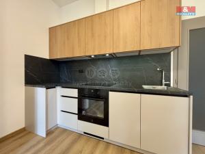 Pronájem bytu 3+kk, Ostrava - Vítkovice, Ruská, 65 m2