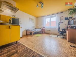 Prodej bytu 1+kk, Liblice, 25 m2