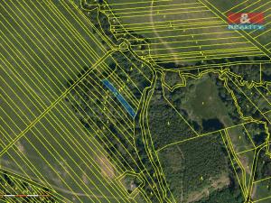 Prodej lesa, Loukov, 1288 m2