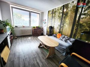 Prodej bytu 2+kk, Louny, Šafaříkova, 45 m2