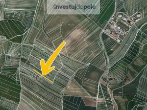 Prodej pole, Klobouky u Brna, 2027 m2