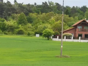 Dražba pole, Černošice, 1053 m2