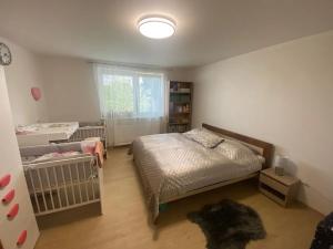 Prodej rodinného domu, Valašské Klobouky, 250 m2