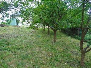 Prodej rodinného domu, Valašské Klobouky, 250 m2