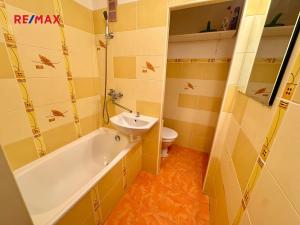 Pronájem bytu 1+kk, Sušice, Sirkařská, 21 m2
