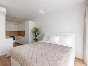 Pronájem bytu 1+kk, Brno, Lidická, 41 m2