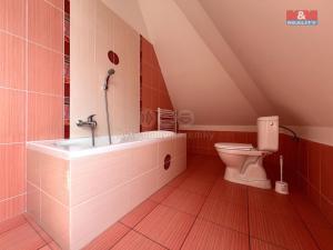 Pronájem bytu 4+kk, Vyškov - Vyškov-Město, Brněnská, 130 m2