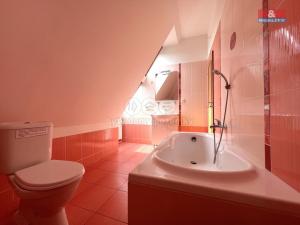 Pronájem bytu 4+kk, Vyškov - Vyškov-Město, Brněnská, 130 m2