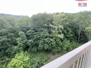 Prodej bytu 1+1, Ústí nad Labem - Střekov, Tolstého, 45 m2