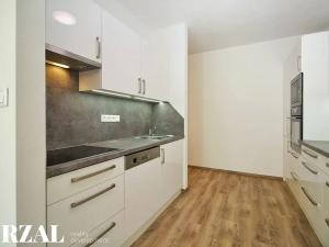 Prodej bytu 2+kk, Plzeň, Papírnická, 60 m2