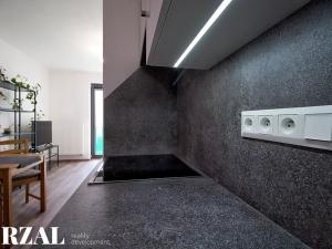 Prodej bytu 2+kk, Plzeň, Papírnická, 60 m2