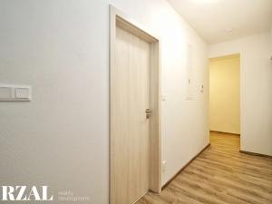 Prodej bytu 2+kk, Plzeň, Papírnická, 60 m2