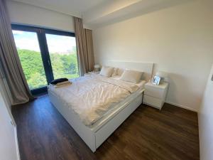 Pronájem bytu 2+kk, Brno - Veveří, Lidická, 55 m2