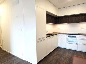 Pronájem bytu 2+kk, Brno - Veveří, Lidická, 55 m2