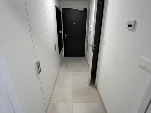 Pronájem bytu 2+kk, Brno - Veveří, Lidická, 55 m2