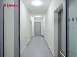 Pronájem bytu 2+kk, Plzeň, Pecháčkova, 51 m2