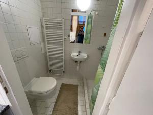 Pronájem bytu 1+1, Brno, Mendlovo náměstí, 25 m2
