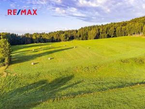Prodej zemědělské usedlosti, Jablonné v Podještědí, 1000 m2