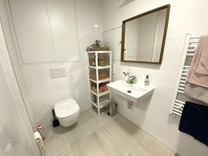 Pronájem bytu 2+kk, Brno, Lidická, 55 m2