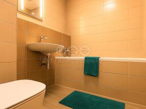 Pronájem bytu 1+kk, Slaný, Lázeňská, 35 m2