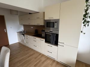 Pronájem bytu 2+kk, Hranice - Hranice I-Město, Cementářské sídliště, 60 m2