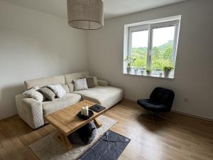Pronájem bytu 2+kk, Hranice - Hranice I-Město, Cementářské sídliště, 60 m2