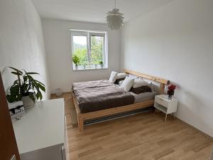Pronájem bytu 2+kk, Hranice - Hranice I-Město, Cementářské sídliště, 60 m2