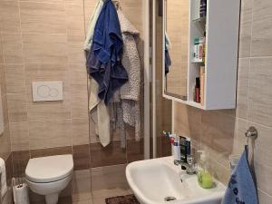 Prodej bytu 1+1, Vamberk, Struha, 34 m2