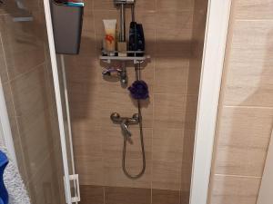 Prodej bytu 1+1, Vamberk, Struha, 34 m2