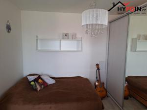 Prodej bytu 1+1, Vamberk, Struha, 34 m2